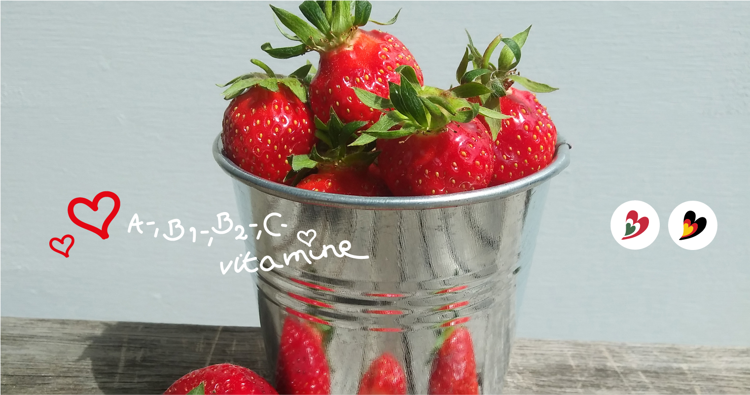 Gesunde Ernährungstipps für werdende Mütter