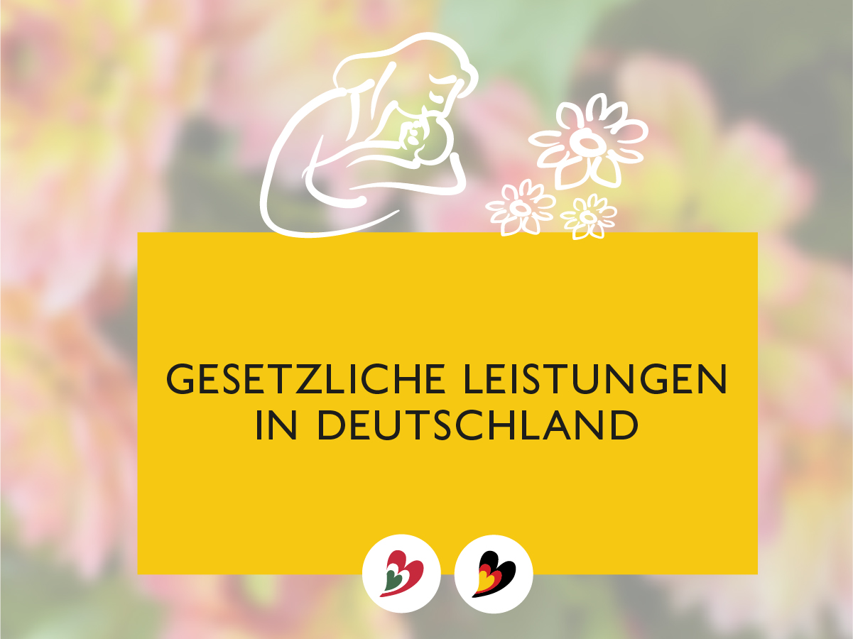 Judit's Büro & Alltagsmanagement